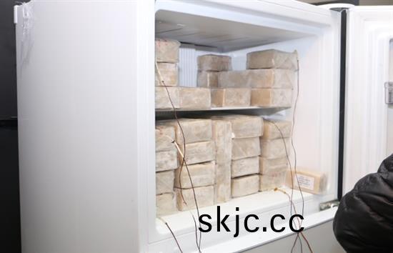 Refrigerator and freezer performance testing